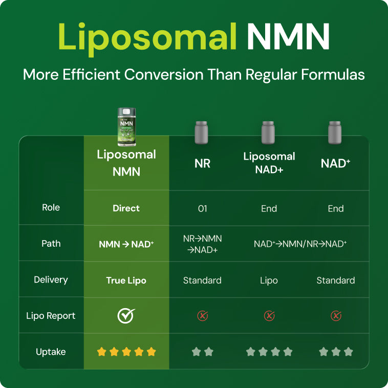 HETH Next-Generation NMN Golden Formula Supplement