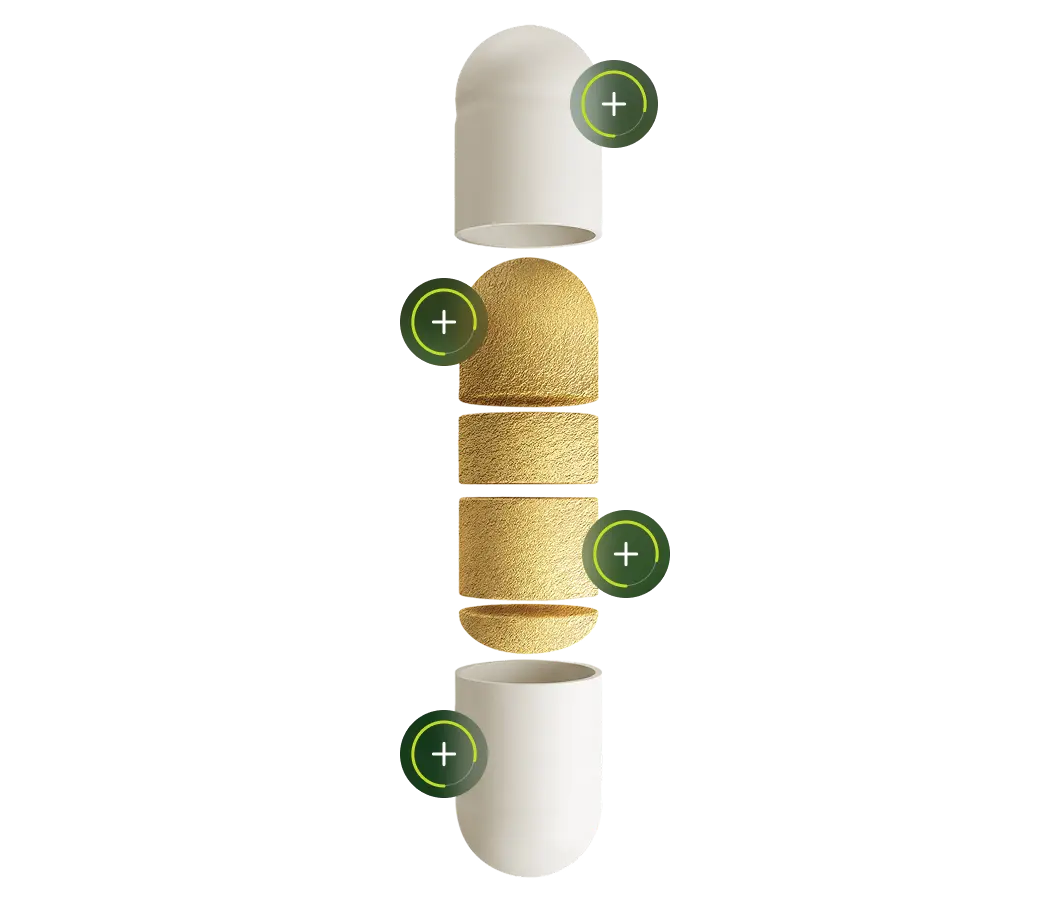 Exploded NMN liposomal capsule layers showing formula components